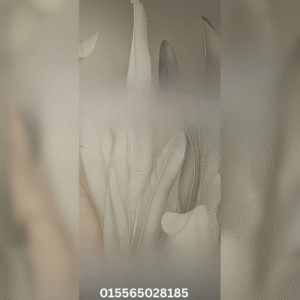 PVC Paneele ( 3D Bild aus PVC  )