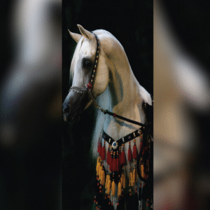 PVC Paneele (Bild aus PVC  )